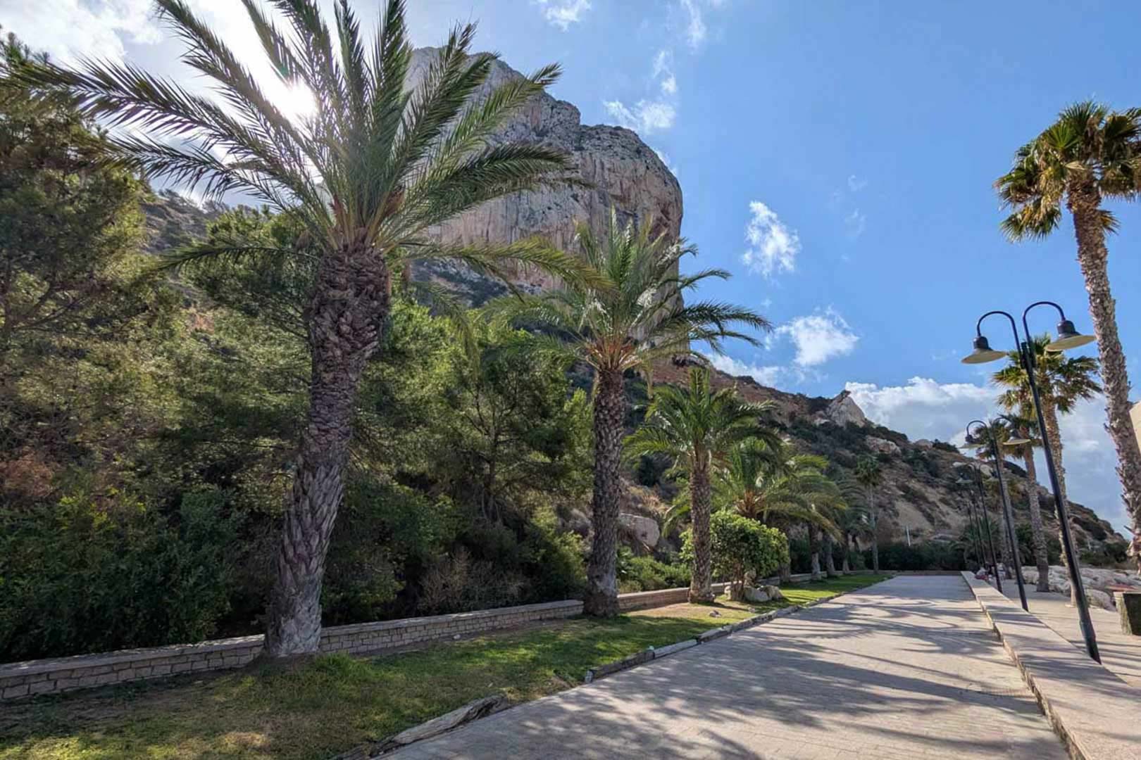 Paseo marítimo pavimentado junto al Peñón de Ifach, rodeado de palmeras maduras y vegetación mediterránea bajo un cielo despejado.