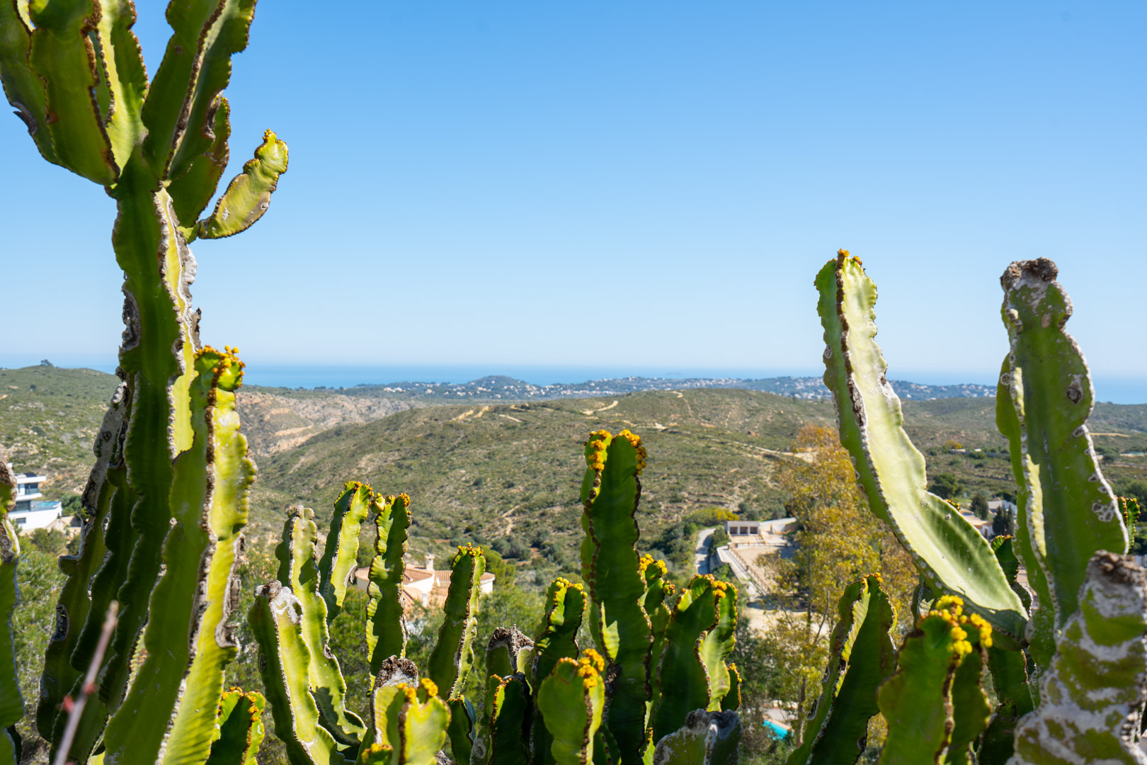 Vistas panorámicas al parque natural de la Granadella y al mar Mediterráneo, enmarcadas por cactus autóctonos desde la propiedad en Cumbre del Sol.