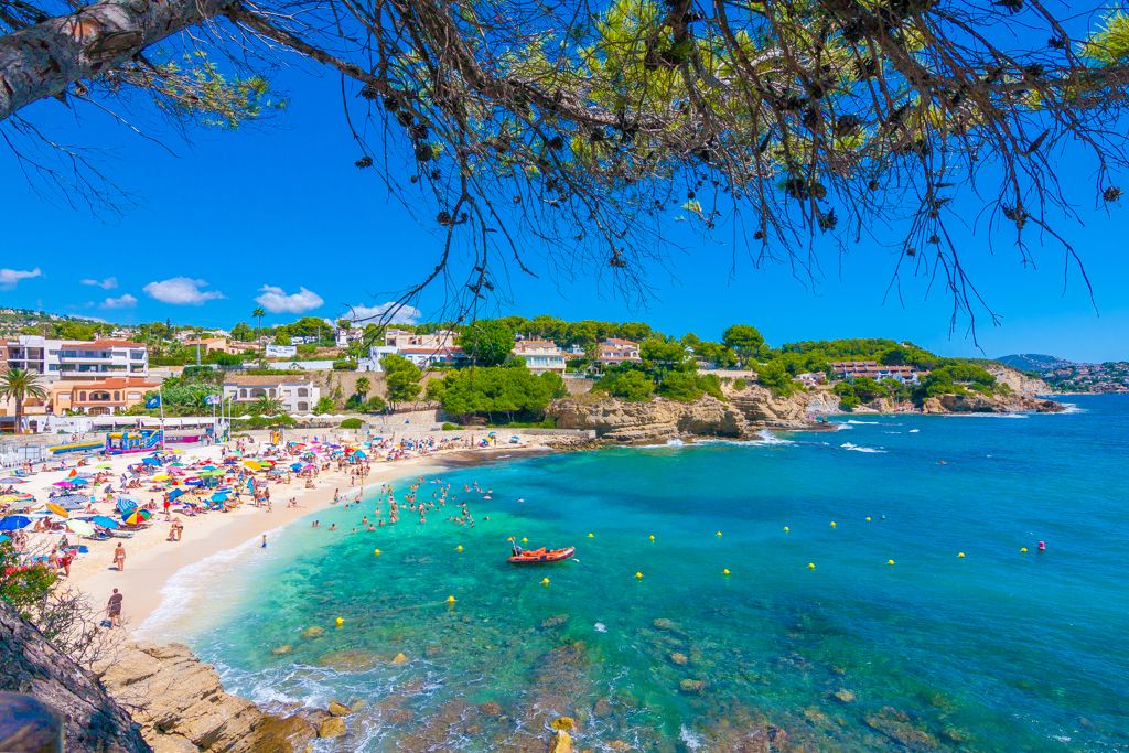 Vista panorámica de la playa de arena de La Fustera con aguas turquesas, enmarcada por pinos mediterráneos y acantilados rocosos bajo un cielo despejado.