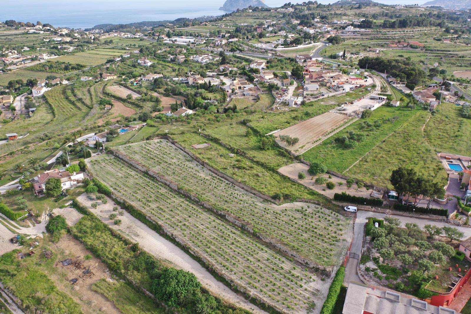Vista aérea de la extensa parcela con viñedos de uva moscatel en terrazas, ofreciendo una panorámica despejada hacia el mar Mediterráneo y el Peñón de Ifach.