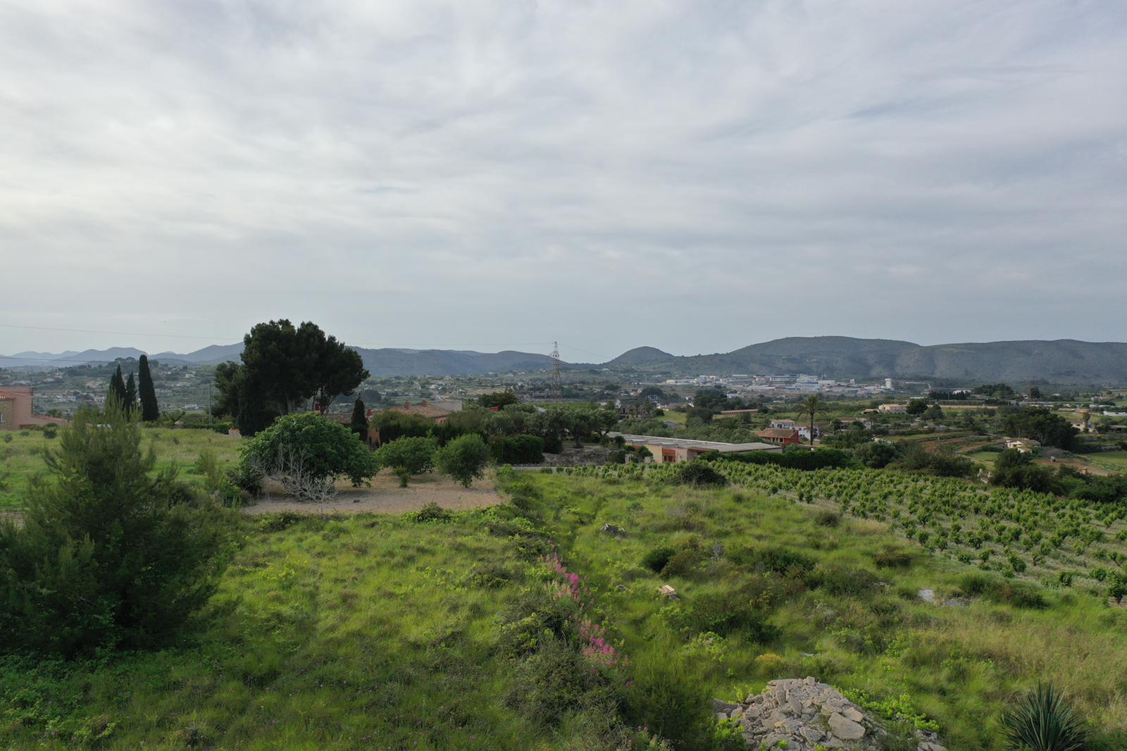 Vista panorámica de la finca con viñedos de uva moscatel en primer plano, rodeada de vegetación mediterránea y montañas en el horizonte.