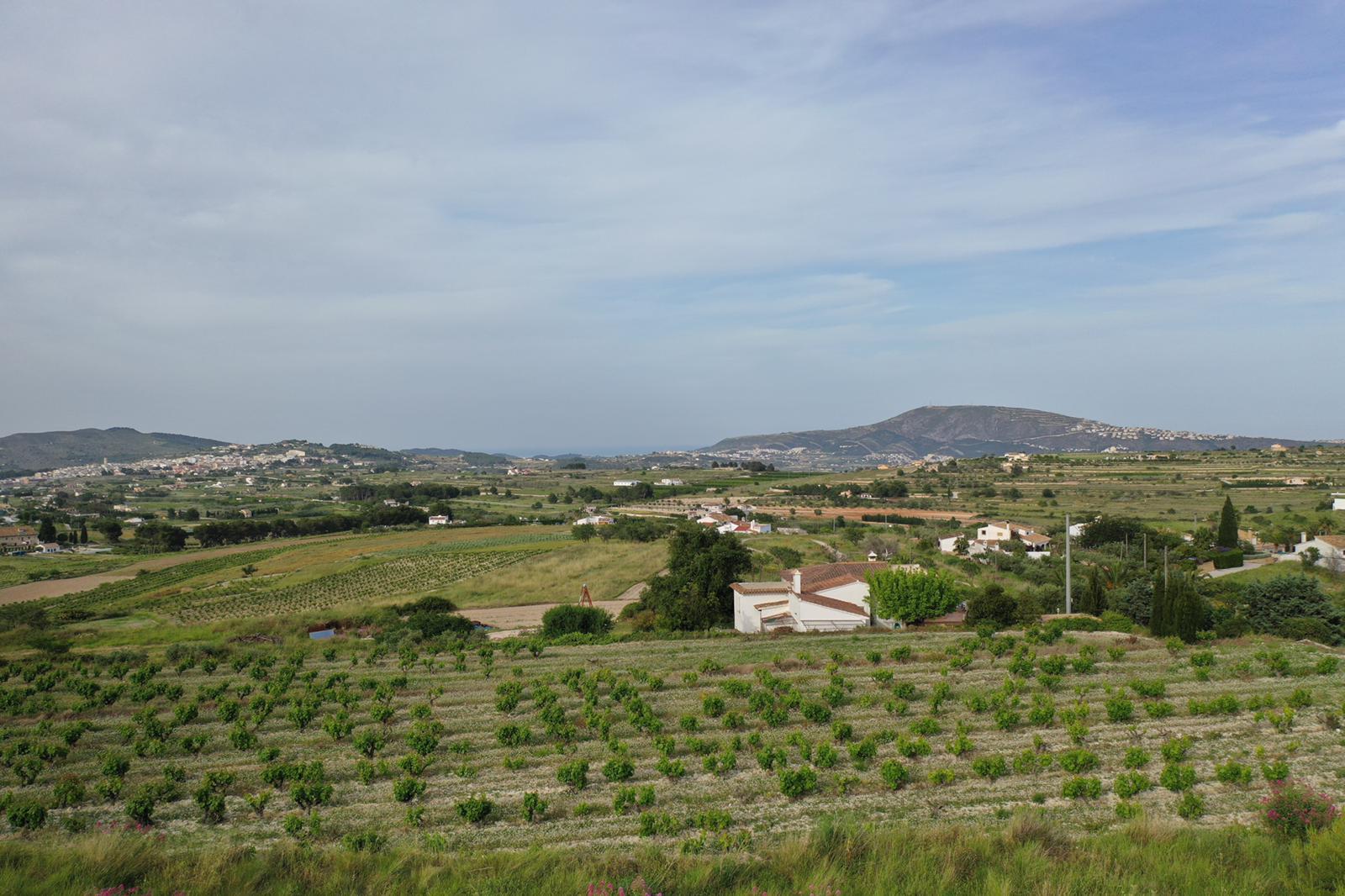 Vista panorámica de los viñedos de uva moscatel en primer plano, con el paisaje rural y las montañas extendiéndose hacia el horizonte marino bajo un cielo despejado.