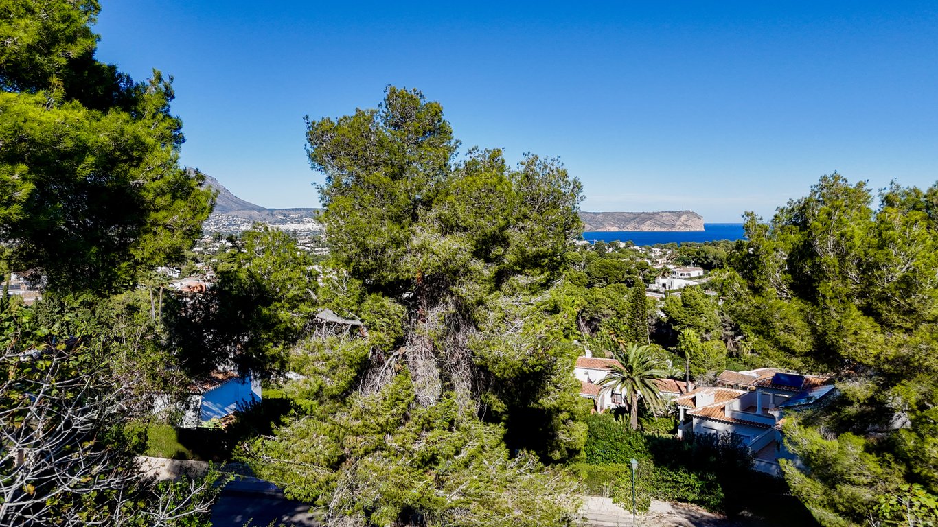 Vista panorámica hacia el mar Mediterráneo y el cabo, rodeada de frondosa vegetación de pinos con el perfil del Montgó asomando al fondo.