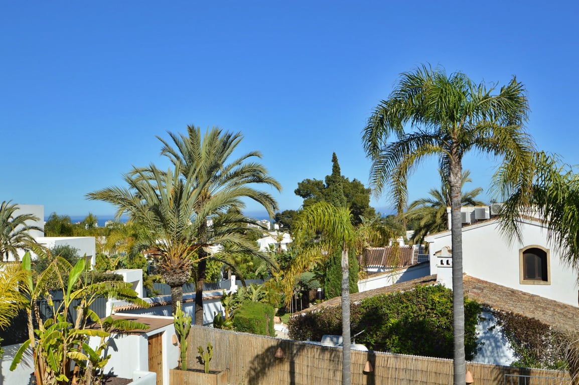 Vista panorámica desde la planta superior que muestra el entorno residencial de Adsubia, con palmeras maduras y el mar Mediterráneo en el horizonte bajo un cielo despejado.