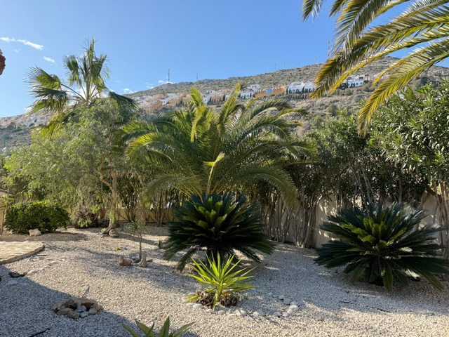 Jardín mediterráneo de bajo mantenimiento con grava, palmeras maduras y cicas, ofreciendo vistas hacia la ladera de Benitachell bajo un cielo despejado.