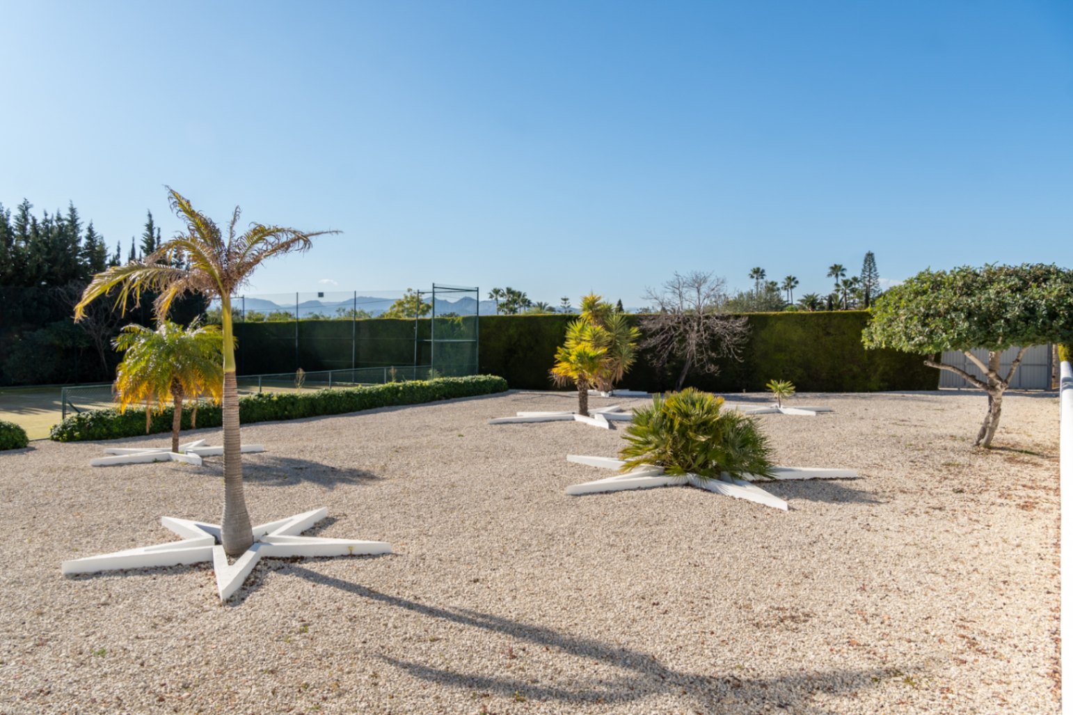 Jardín de grava con palmeras en alcorques geométricos en forma de estrella, junto a una pista de tenis privada rodeada de setos altos.