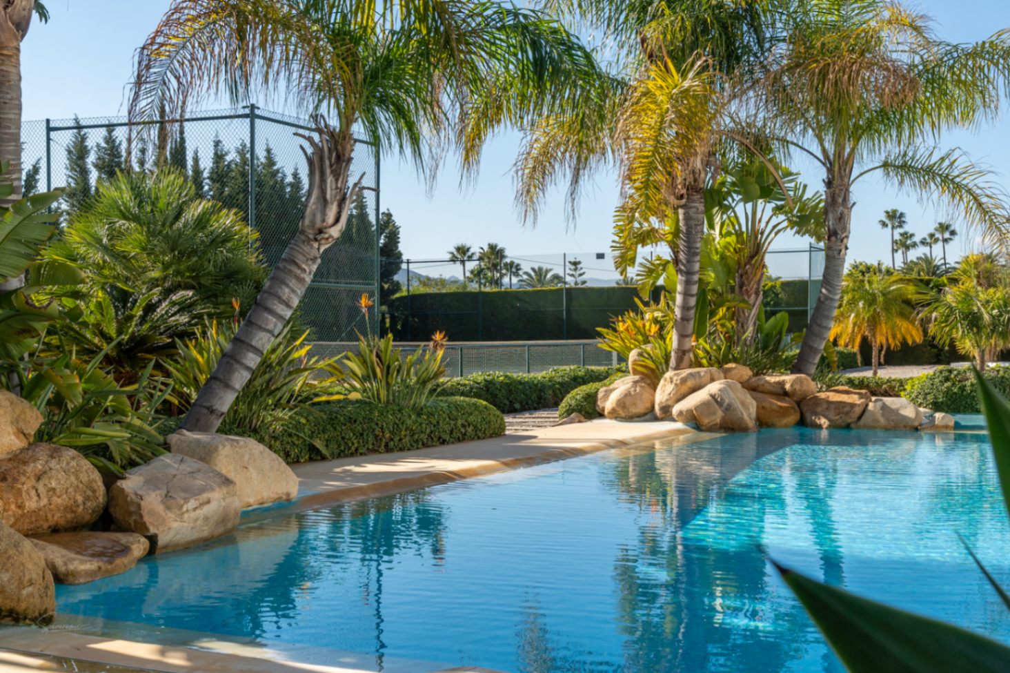 Piscina de diseño con borde de piedra natural y jardín tropical con palmeras, con la pista de tenis privada y setos perimetrales al fondo.