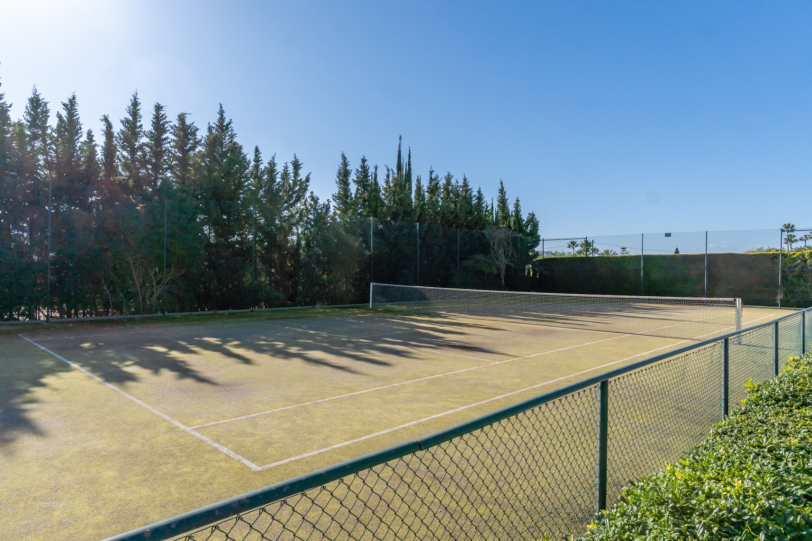 Pista de tenis privada rodeada de altos cipreses que garantizan total privacidad, con vallado perimetral y superficie despejada bajo el sol mediterráneo.