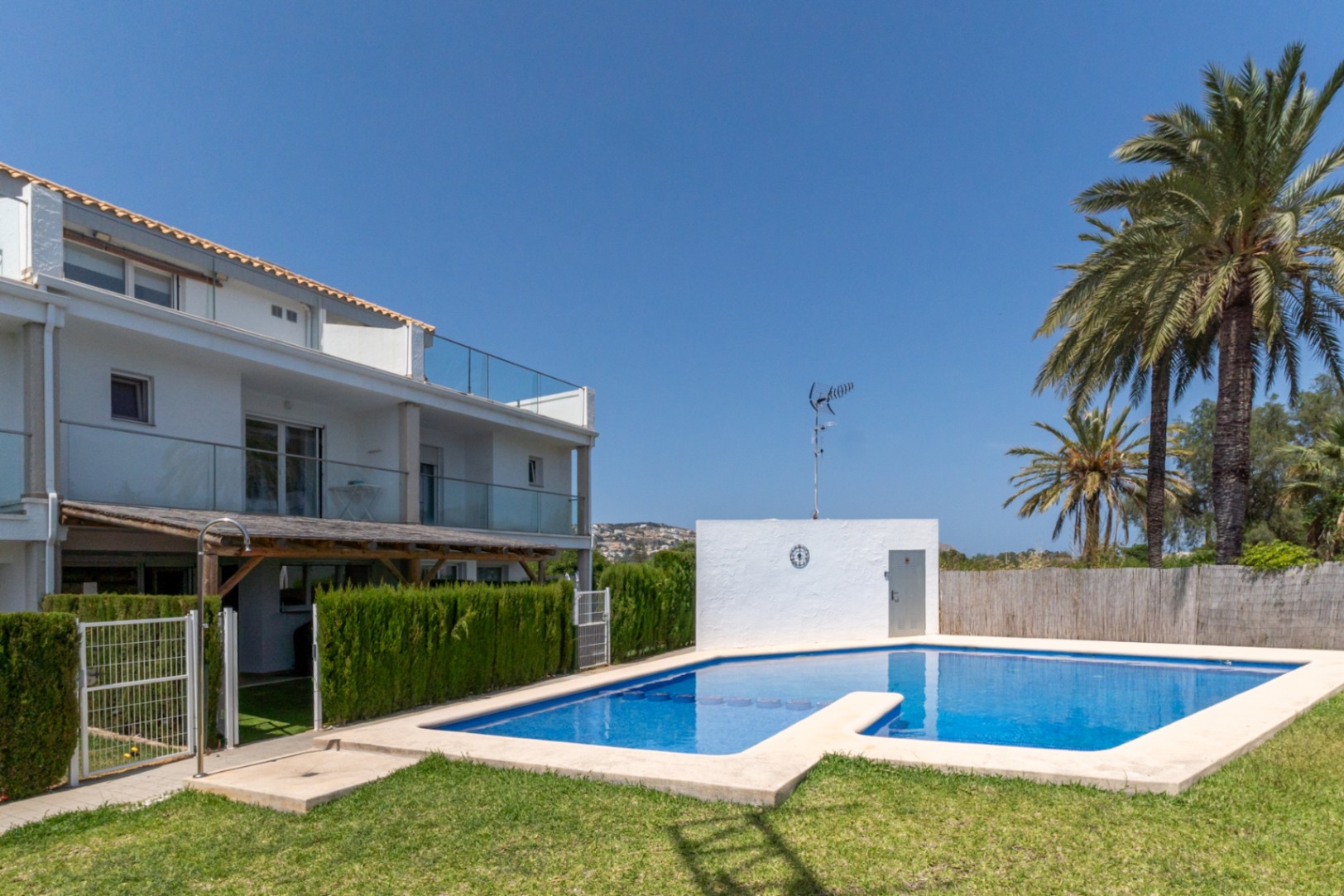 Piscina comunitaria rodeada de césped y palmeras, con acceso directo desde el patio privado a través de una puerta metálica y vistas a la fachada moderna.