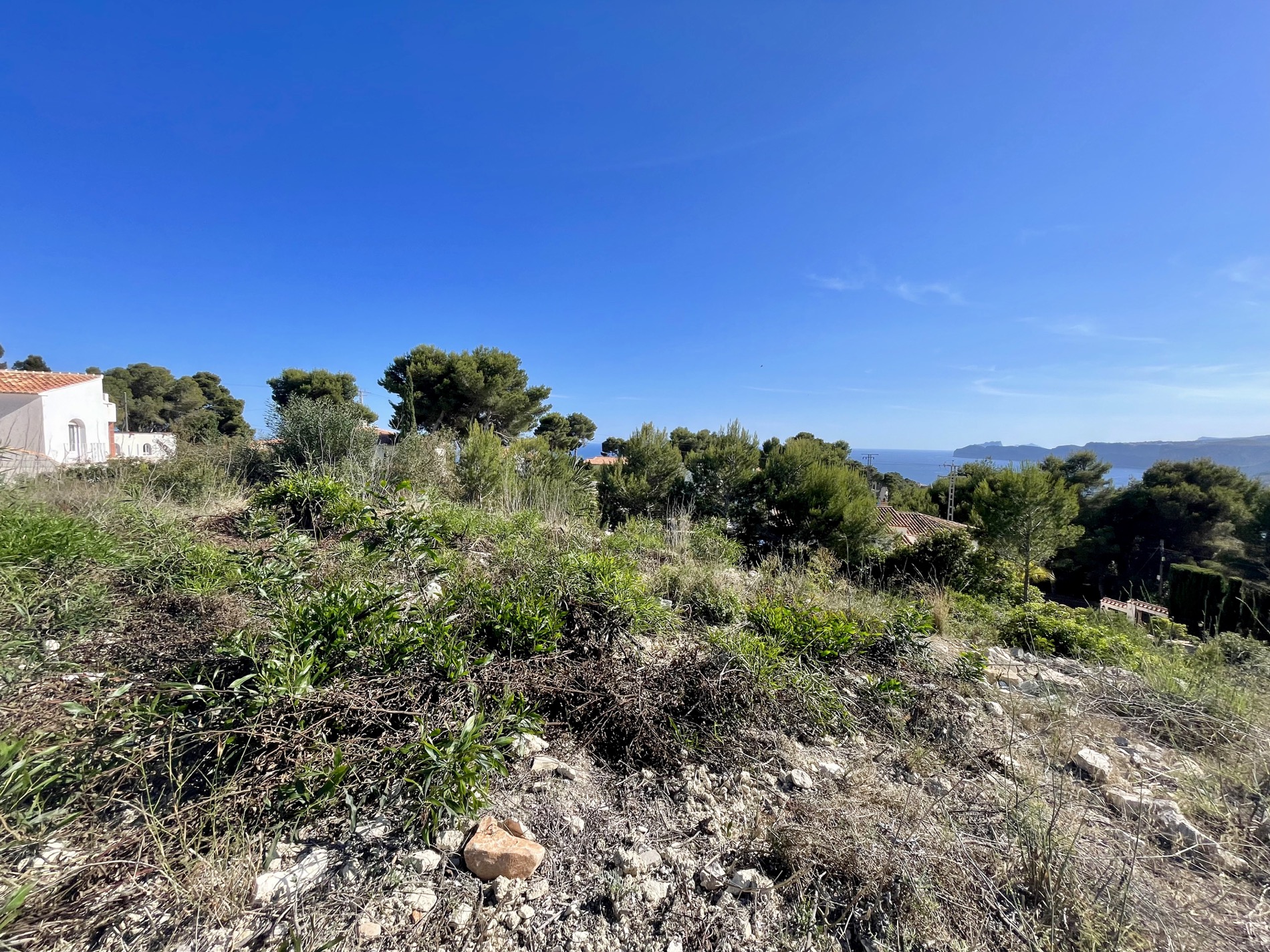 Vista elevada de la parcela con vegetación autóctona y pinos mediterráneos, ofreciendo vistas despejadas hacia el mar y el horizonte bajo un cielo despejado.