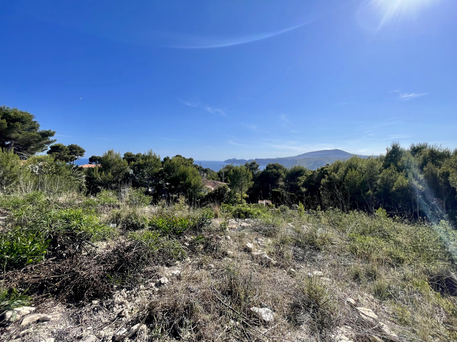 Vista panorámica desde la parcela elevada hacia el mar Mediterráneo y el cabo, rodeada de pinos autóctonos y vegetación natural bajo un cielo despejado.
