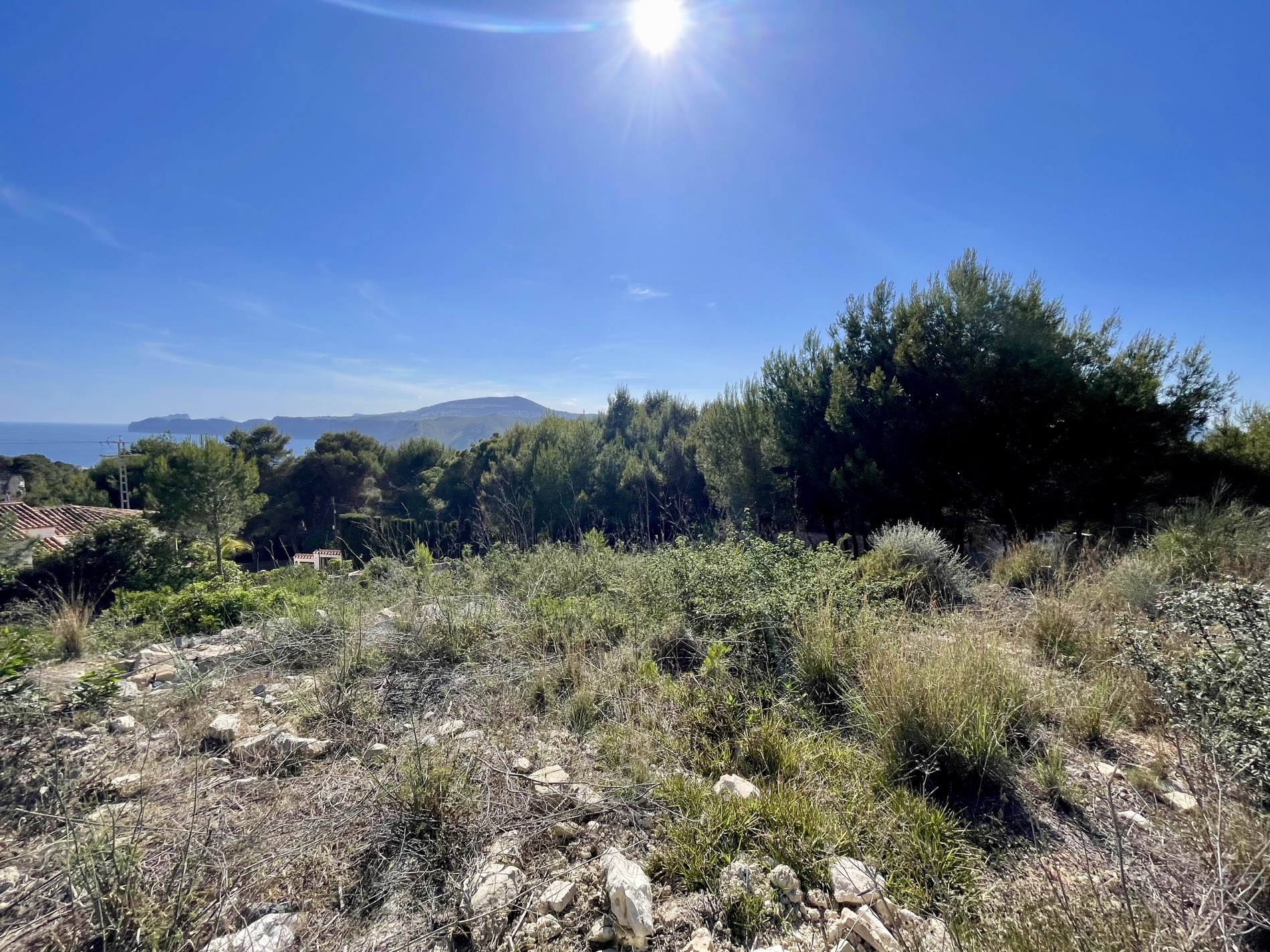 Vista panorámica desde la parcela elevada que muestra la vegetación mediterránea autóctona y el horizonte del mar bajo un cielo despejado.