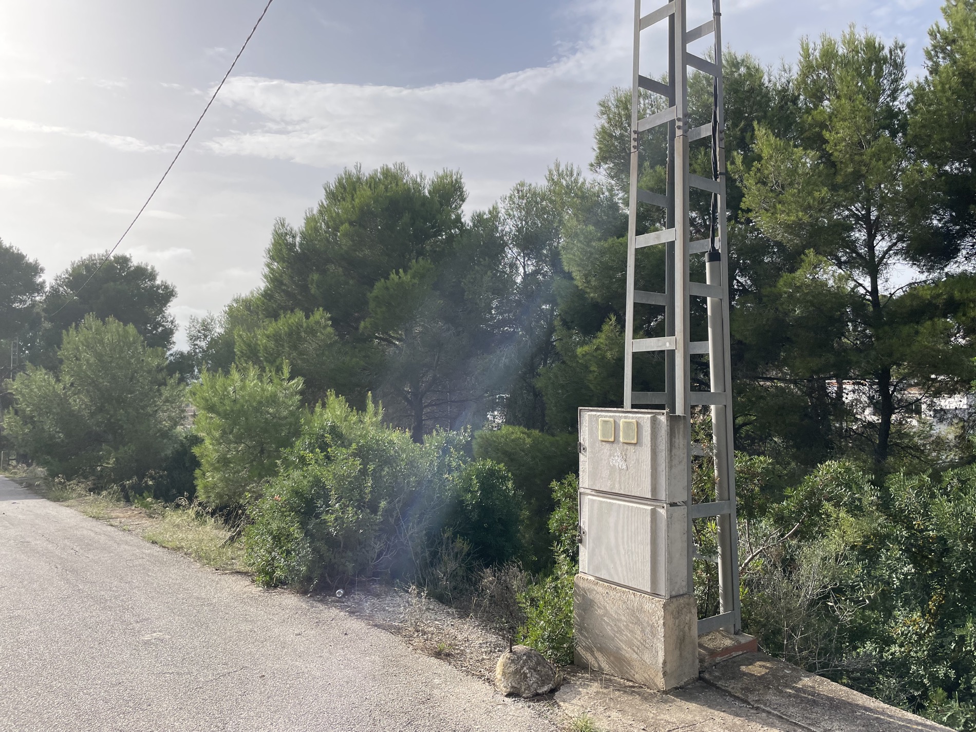 Acceso por carretera a la parcela con infraestructura eléctrica instalada y entorno natural de pinos mediterráneos.
