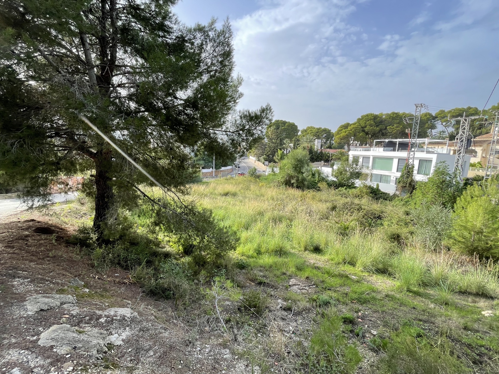 Vista del terreno elevado con vegetación autóctona y pinos maduros, lindando con una zona residencial de villas modernas en Moraira.