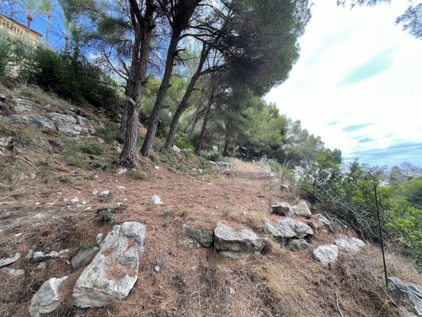 Parcela con pendiente natural y pinos maduros en Benimeit, Moraira. El terreno presenta afloramientos rocosos y vegetación mediterránea autóctona en un entorno tranquilo.