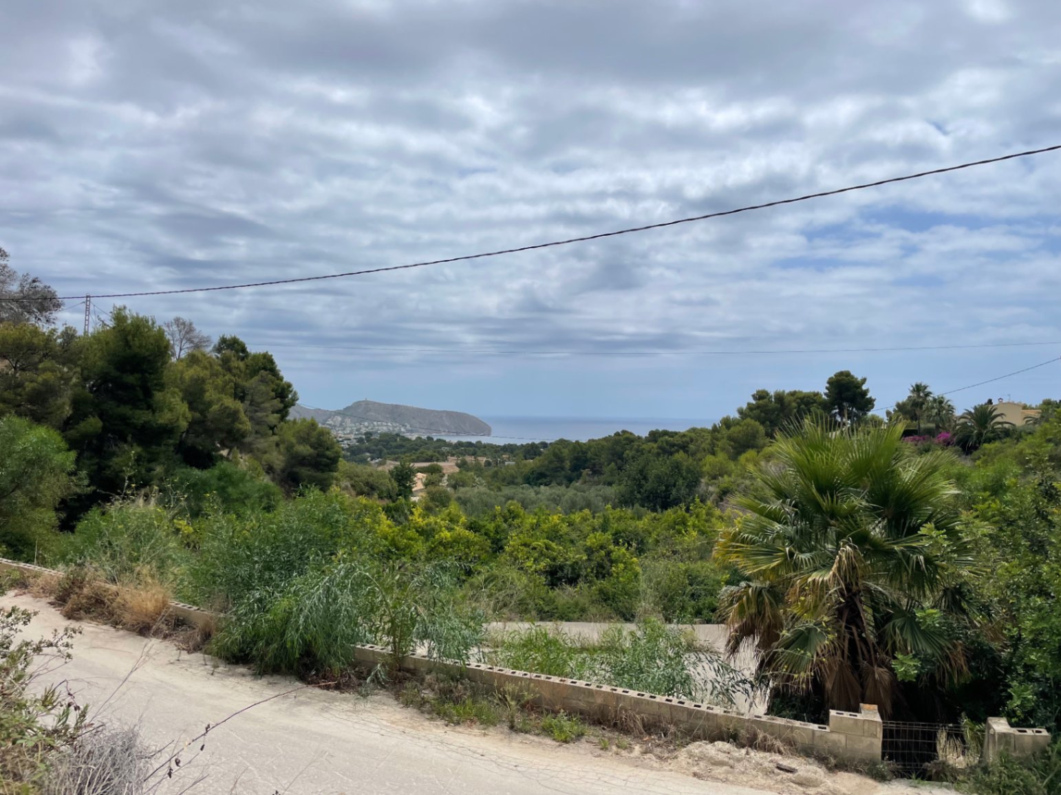 Vista elevada desde el terreno hacia el mar Mediterráneo y el cabo de Moraira, con un entorno natural de pinos y palmeras.