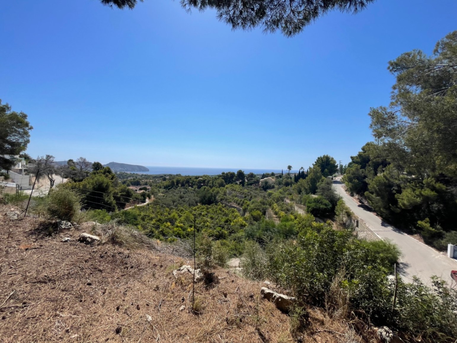 Vista panorámica al mar Mediterráneo desde la parcela elevada en Benimeit, Moraira, rodeada de vegetación autóctona y pinos bajo un cielo despejado.
