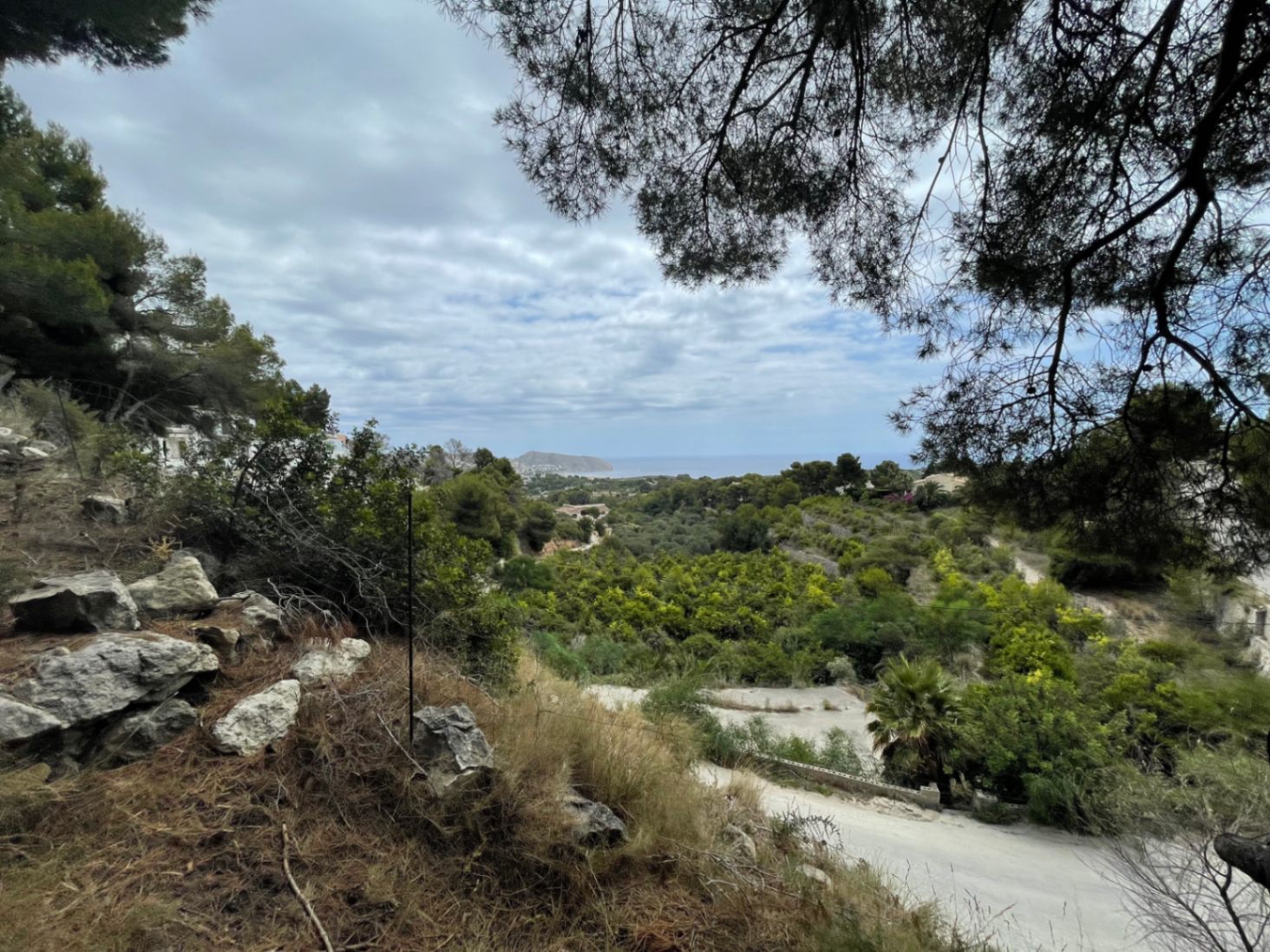 Vista panorámica al mar Mediterráneo desde la parcela elevada, enmarcada por pinos autóctonos y vegetación densa en un entorno natural tranquilo.