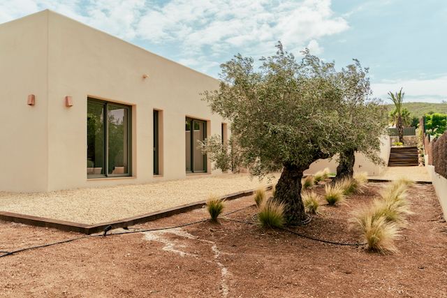 Fachada minimalista de tonos arena con ventanales de doble acristalamiento y un jardín mediterráneo compuesto por olivos centenarios y gravilla decorativa.