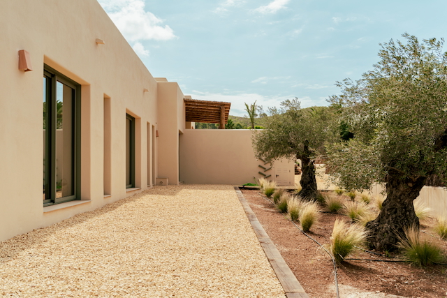 Fachada minimalista en tonos arena con grandes ventanales y jardín mediterráneo compuesto por olivos centenarios y gramíneas sobre grava decorativa.