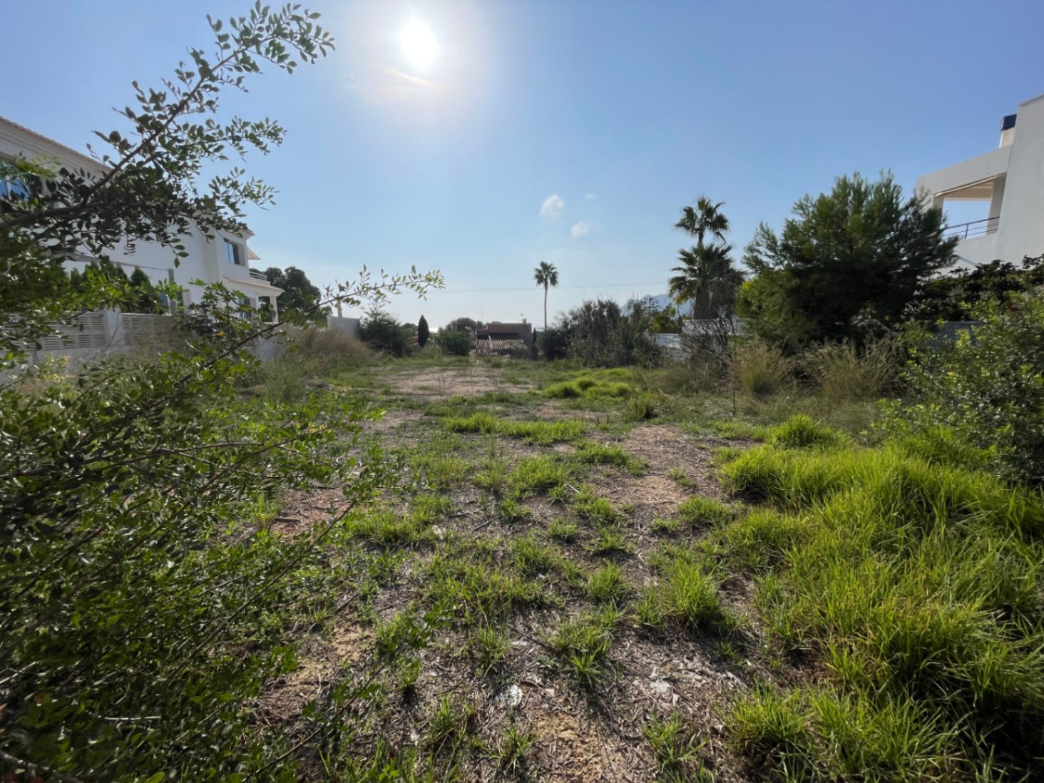 Parcela llana de 856 m² en Bassetes, Calpe, rodeada de vegetación autóctona y chalets modernos bajo una exposición solar directa.