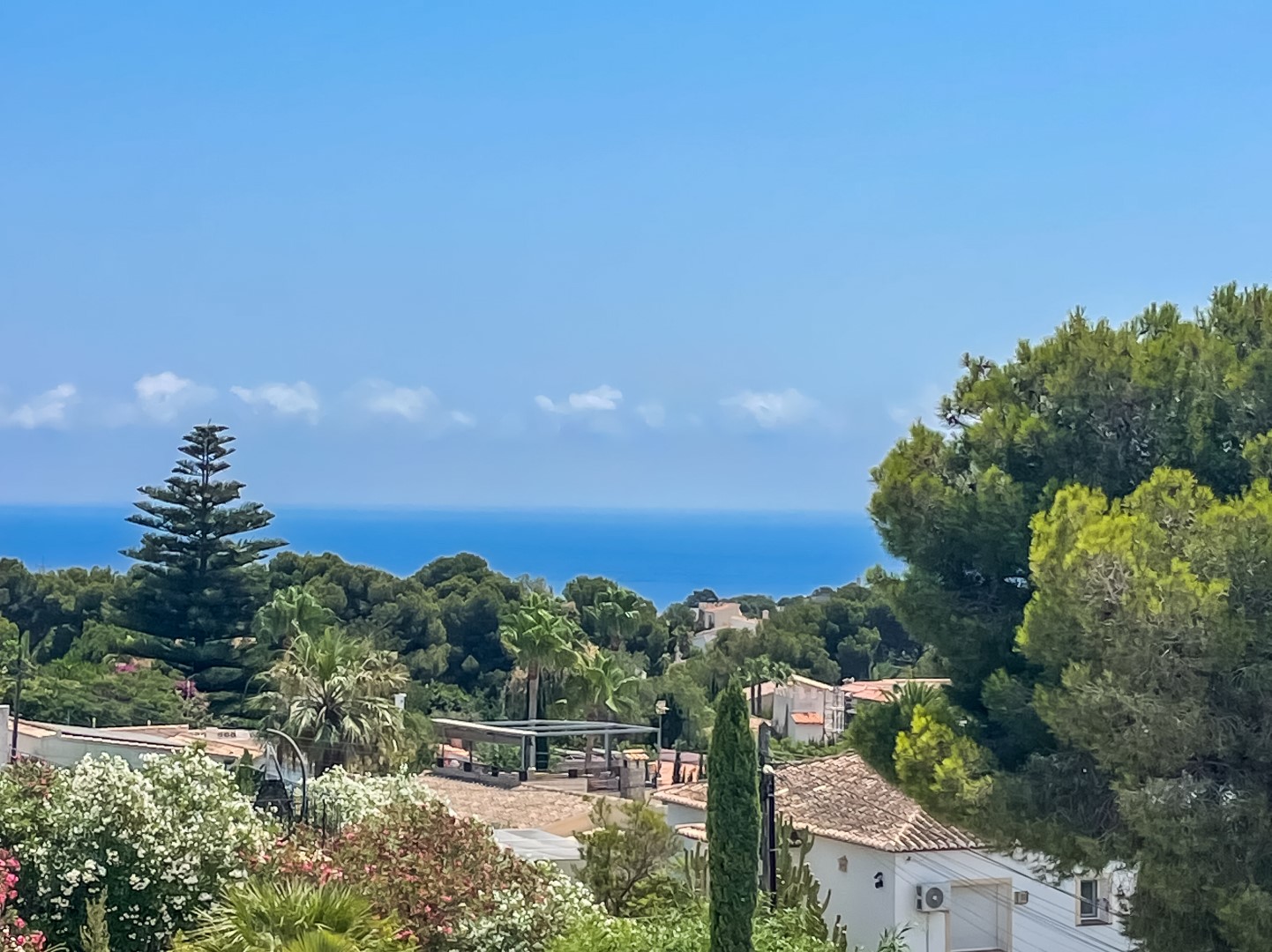 Vistas panorámicas elevadas al mar Mediterráneo desde Balcón al Mar, enmarcadas por pinos maduros, palmeras y tejados tradicionales en Jávea.
