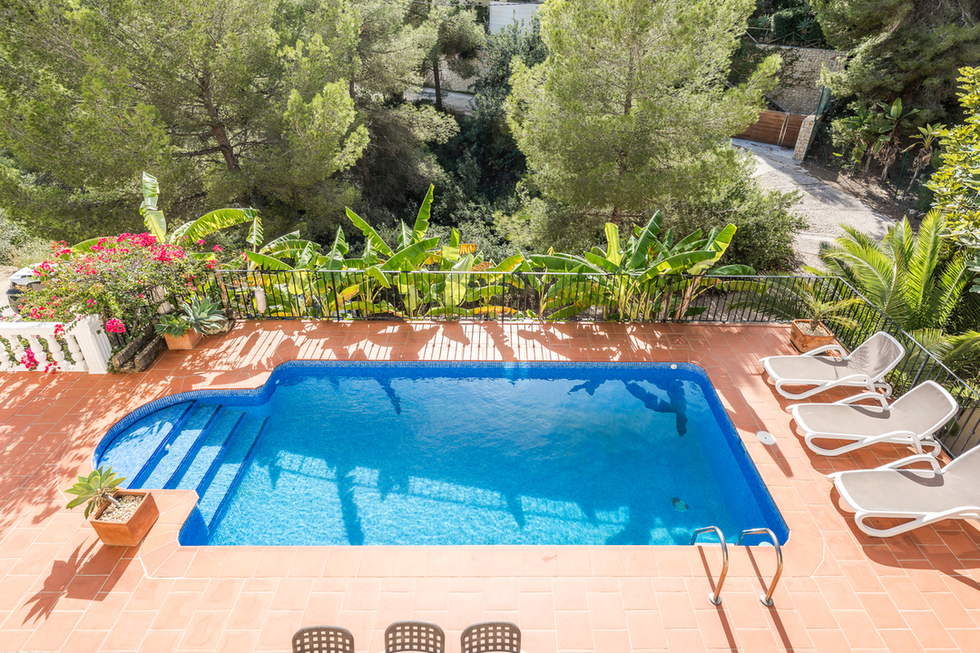 Vista elevada de una piscina rectangular con gresite azul y terraza de terracota, equipada con tumbonas y rodeada de frondosa vegetación mediterránea y pinos.