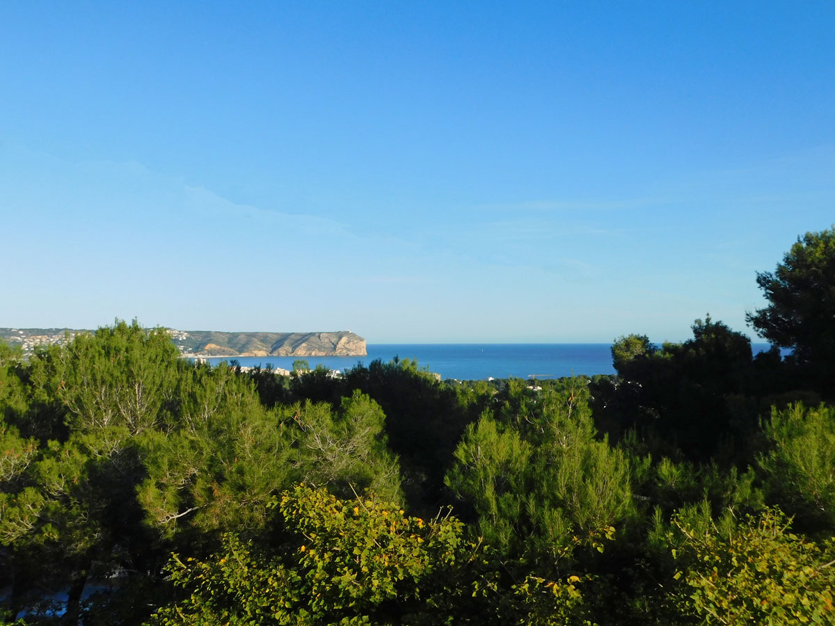 Vistas panorámicas al mar Mediterráneo y al Cabo San Antonio desde la propiedad, rodeada de una densa vegetación de pinos autóctonos bajo un cielo despejado.