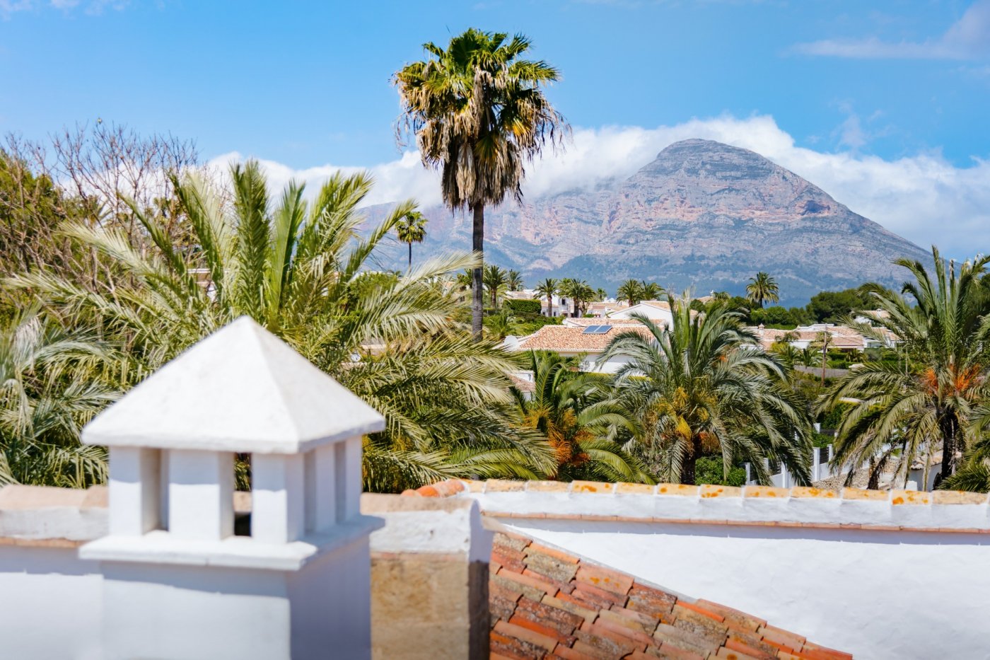 Vistas panorámicas al macizo del Montgó desde la propiedad, rodeada de un frondoso palmeral y arquitectura tradicional con tejados de terracota.
