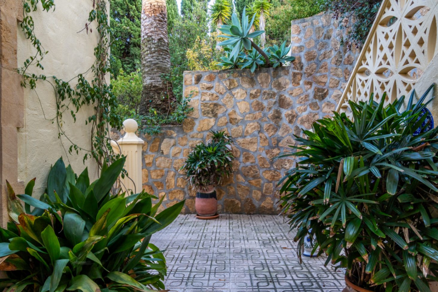 Patio exterior con pavimentos de gres decorado, muros de mampostería de piedra y una variada selección de plantas mediterráneas y palmeras.