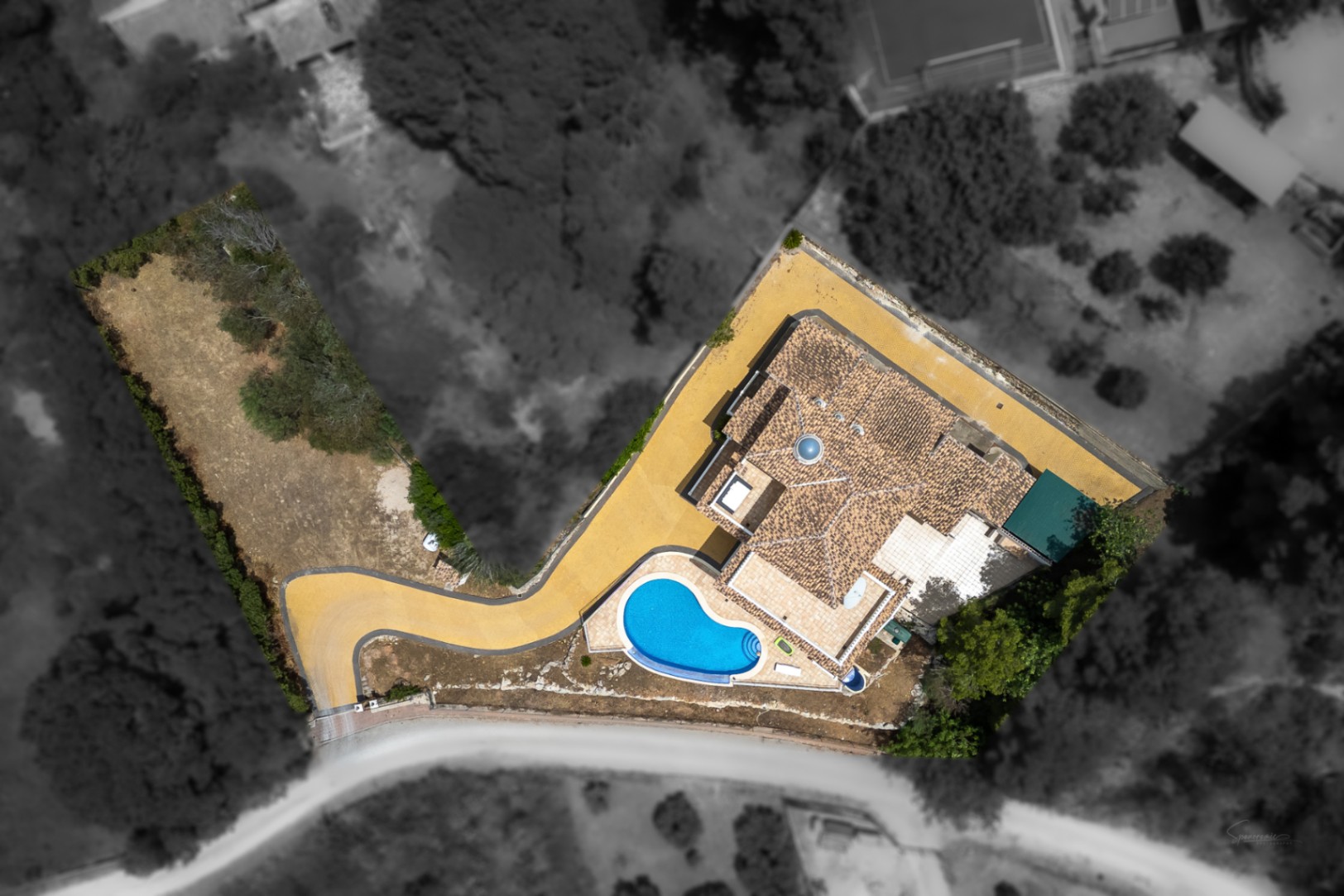 Vista aérea cenital que muestra la distribución de la villa, destacando la piscina curva, el tejado con cúpula central y el extenso camino de acceso privado.