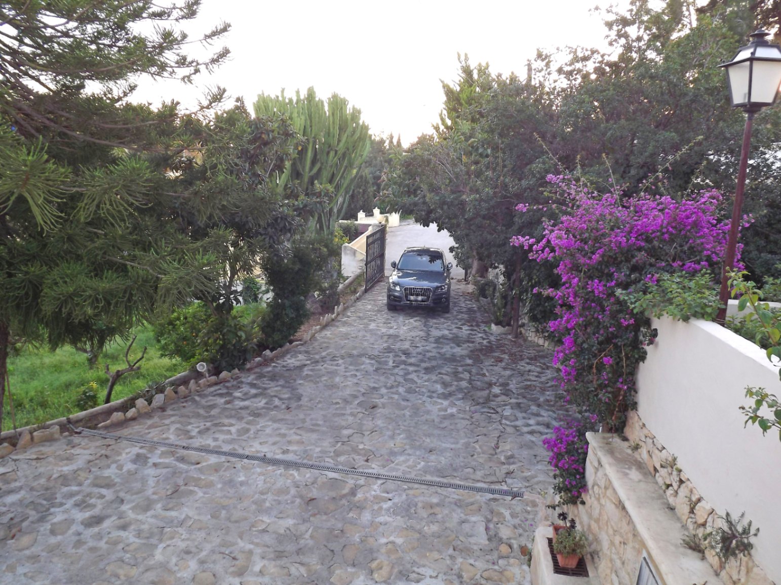 Camino de entrada pavimentado con piedra natural, rodeado de vegetación mediterránea madura, buganvillas y muros perimetrales que combinan revoco blanco y piedra.