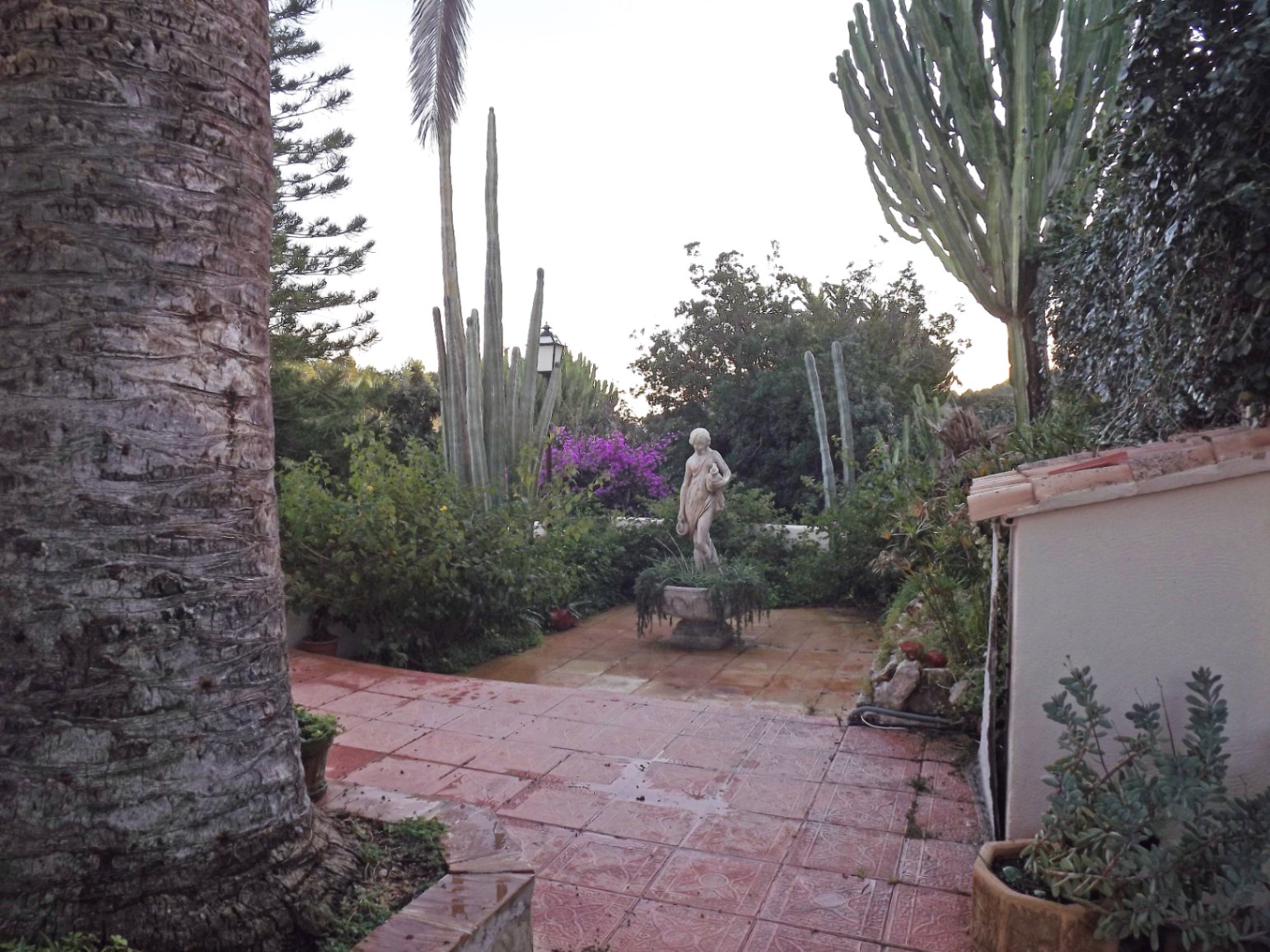 Jardín mediterráneo con suelos de baldosas cerámicas, una estatua clásica central y vegetación madura que incluye cactus columnares y palmeras.