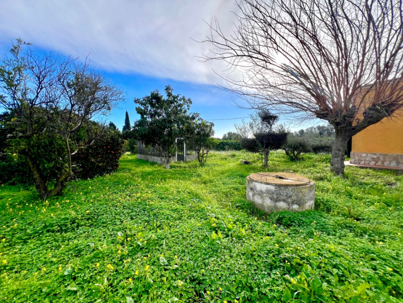 Parcela rústica con pozo tradicional de piedra, rodeada de vegetación natural y árboles frutales bajo un cielo despejado.