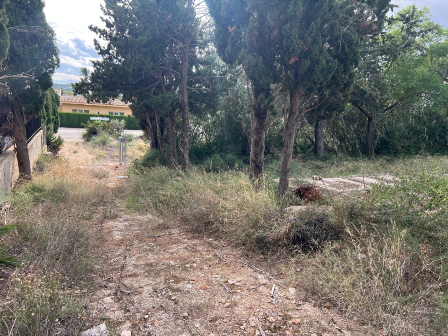 Acceso rústico a la parcela con cipreses maduros y vegetación autóctona, mostrando el potencial de desarrollo y la amplitud del terreno en la zona del Montgó.