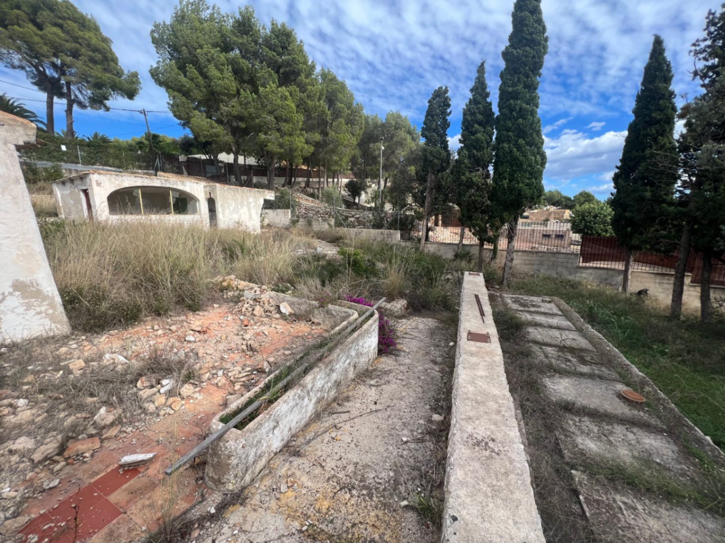 Vista de la parcela con vegetación mediterránea, pinos y construcciones auxiliares que requieren reforma integral en la zona del Montgó, Jávea.
