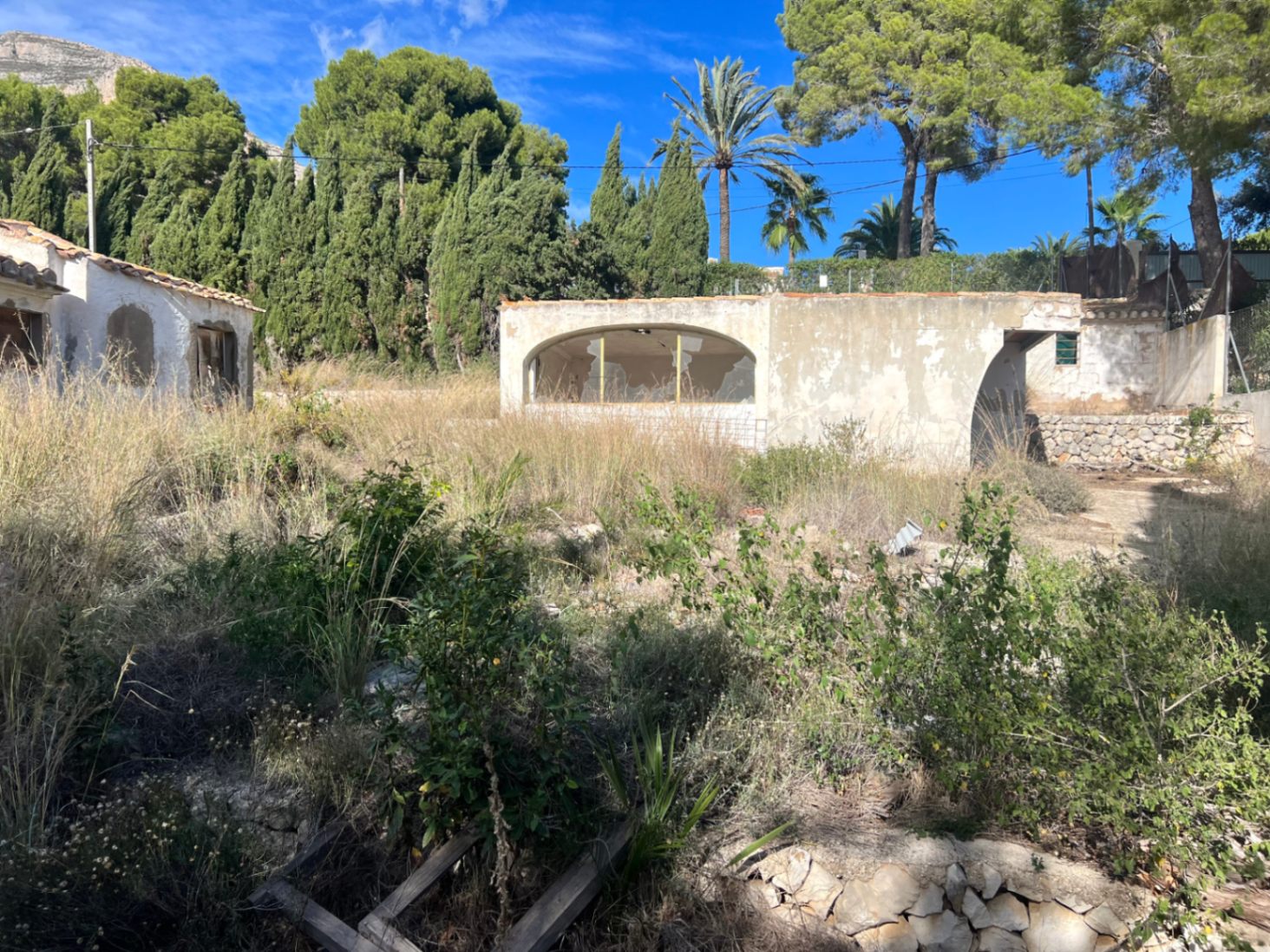 Vista exterior de una construcción secundaria con arcos y vegetación silvestre, rodeada de pinos y cipreses bajo el cielo despejado de Jávea.