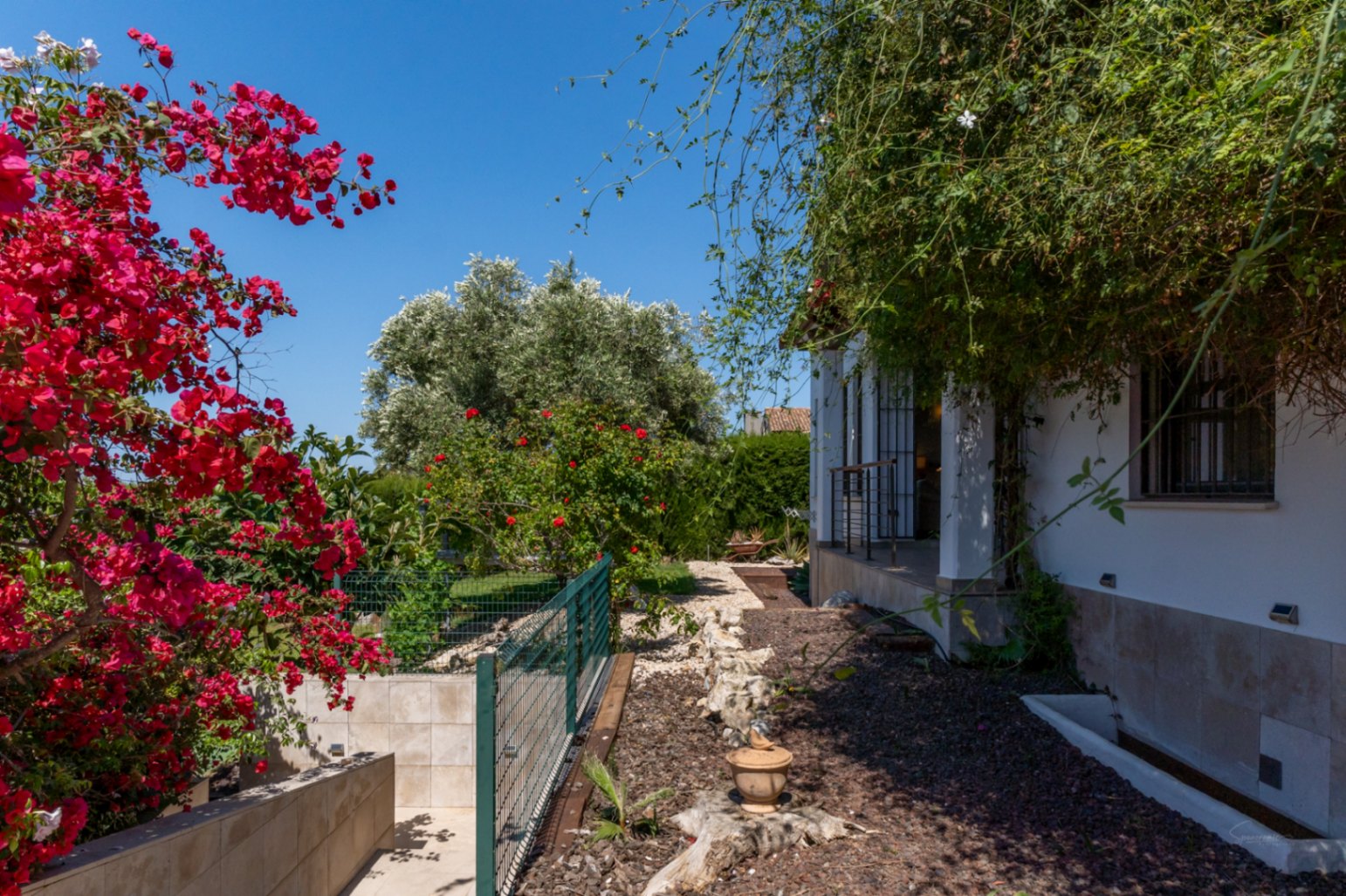 Jardín mediterráneo con buganvillas en flor, senderos de grava y fachada con zócalo de piedra. La vegetación madura rodea la vivienda bajo un cielo despejado y luminoso.