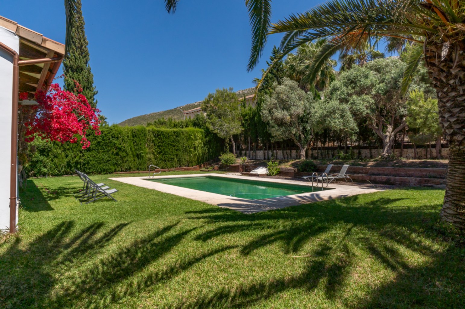 Piscina exterior rectangular rodeada de césped natural, palmeras y buganvillas, con vistas a la montaña y setos perimetrales que garantizan privacidad.