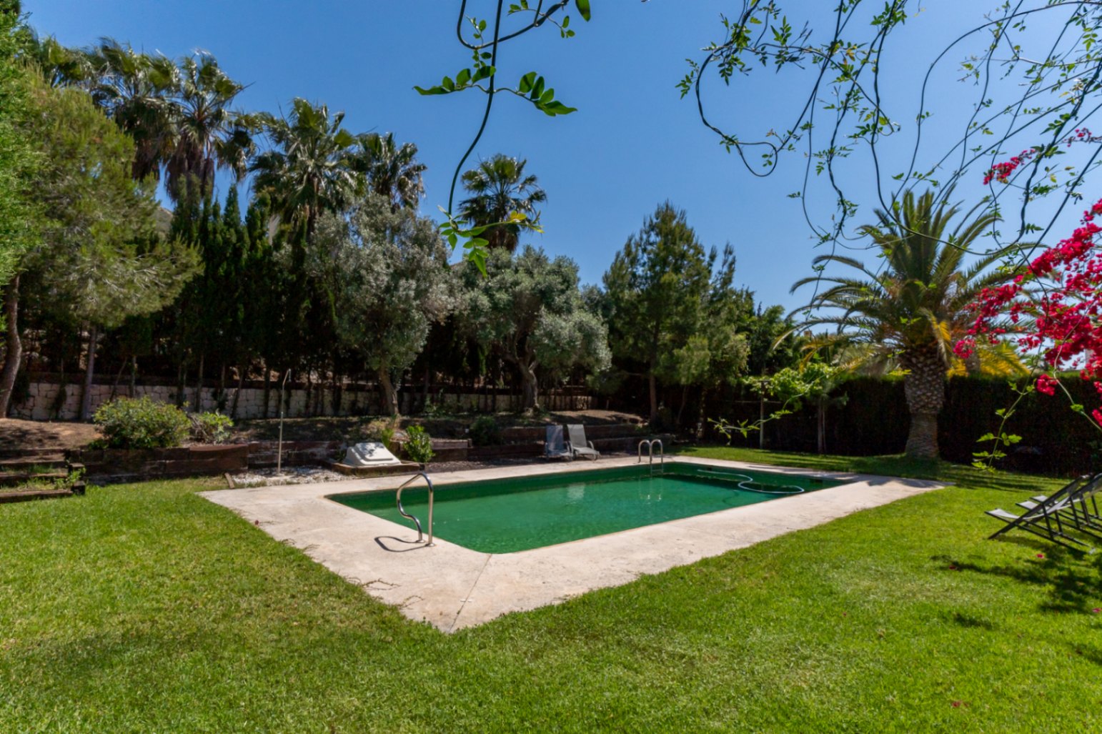Piscina exterior rectangular rodeada de césped y vegetación mediterránea, con palmeras, pinos y buganvillas bajo un cielo despejado en Jávea.