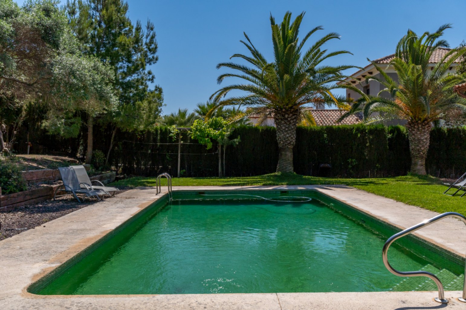 Piscina exterior rodeada de un jardín mediterráneo con césped natural, palmeras maduras y setos perimetrales que garantizan privacidad.