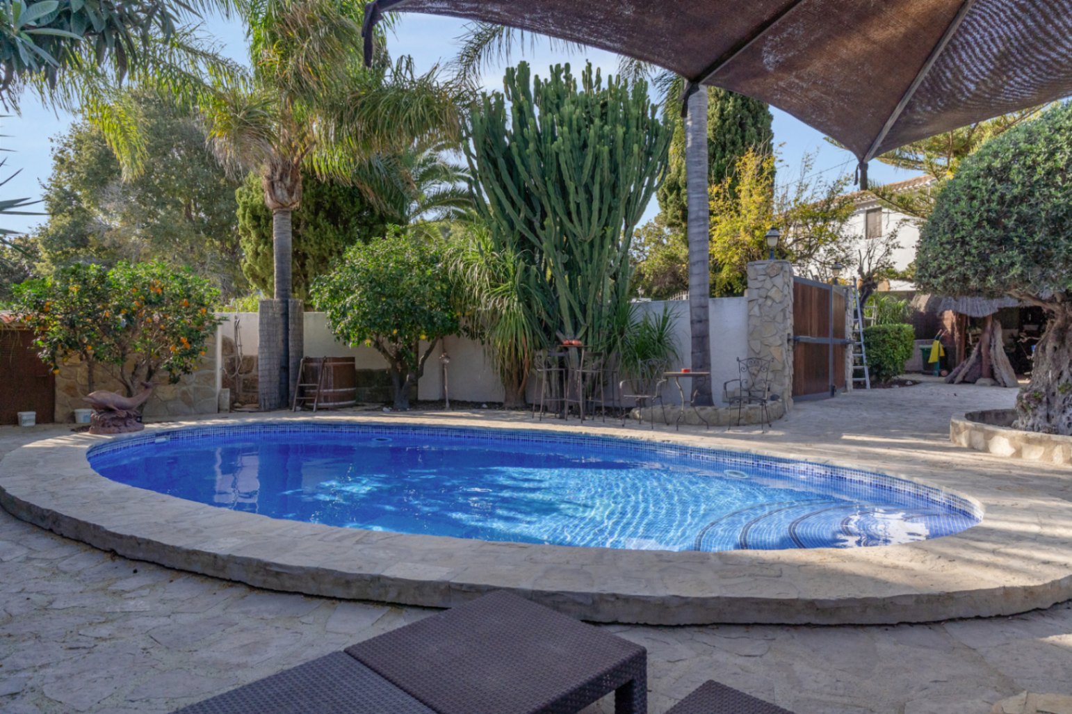 Piscina ovalada con gresite azul, rodeada de un pavimento de piedra natural y vegetación mediterránea madura que incluye palmeras, cactus de gran tamaño y cítricos.