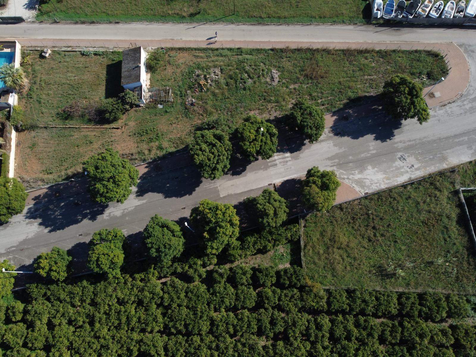 Vista aérea cenital de la parcela urbana que muestra el acceso por calle asfaltada con arbolado, una edificación existente y la colindancia con campos agrícolas.