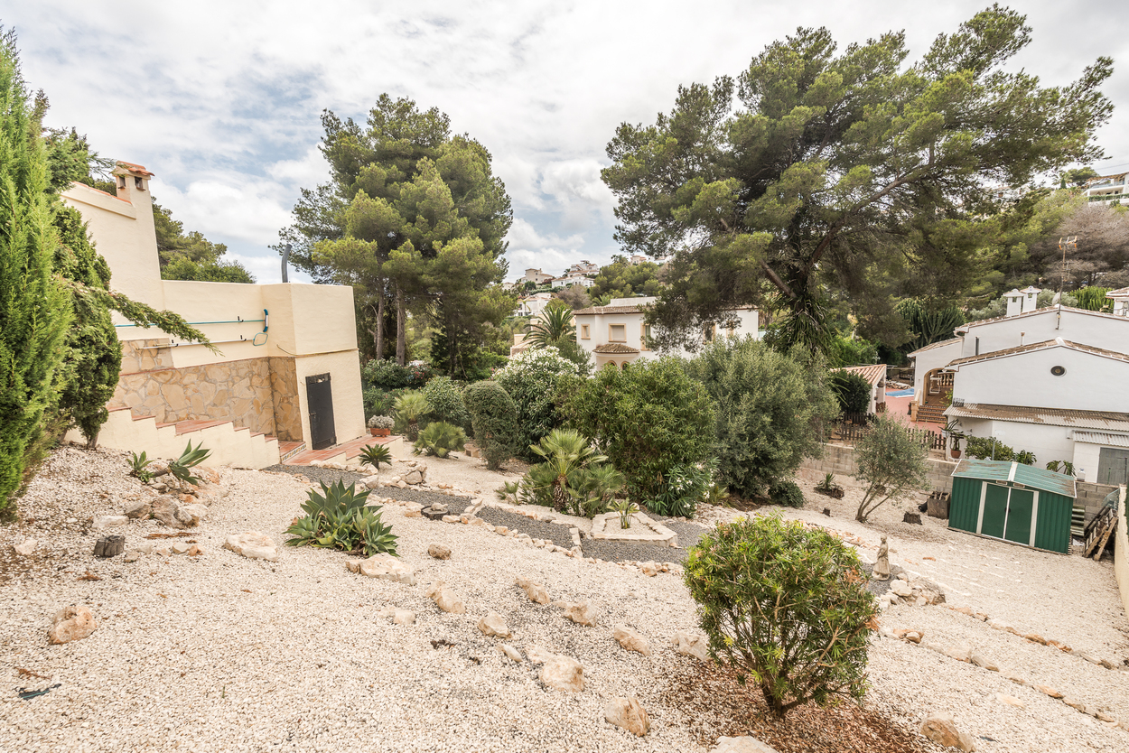 Jardín aterrazado de bajo mantenimiento con superficies de grava, agaves y una caseta verde, rodeado de pinos maduros y vistas a la urbanización.