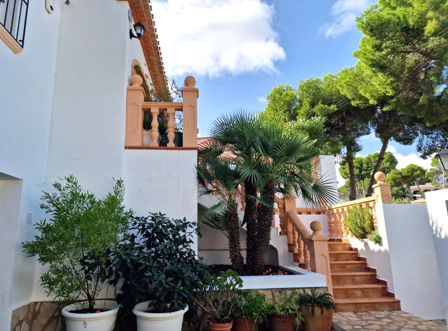 Escalera exterior con balaustradas de terracota hacia la planta superior, destacando una palmera central y variadas plantas mediterráneas en macetas.