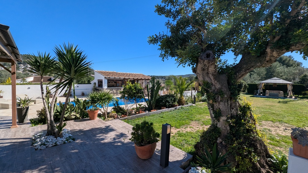 Jardín mediterráneo con piscina, cocina de verano techada y cenador independiente rodeado de césped, palmeras y olivos centenarios.