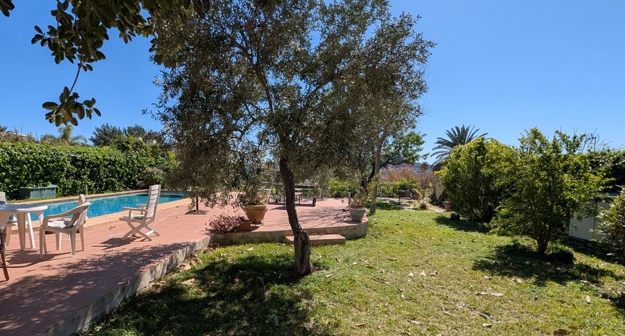 Piscina privada rectangular rodeada por una terraza de terracota y un jardín con césped, olivos maduros y setos perimetrales densos.