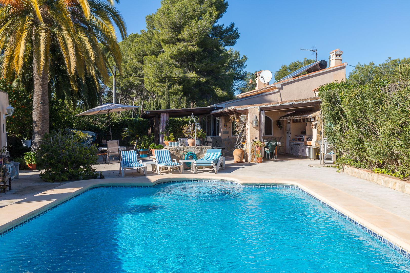 Piscina con azulejos azules rodeada de una terraza soleada, zona de cocina exterior cubierta y paneles solares térmicos en el tejado bajo un entorno de pinos y palmeras.