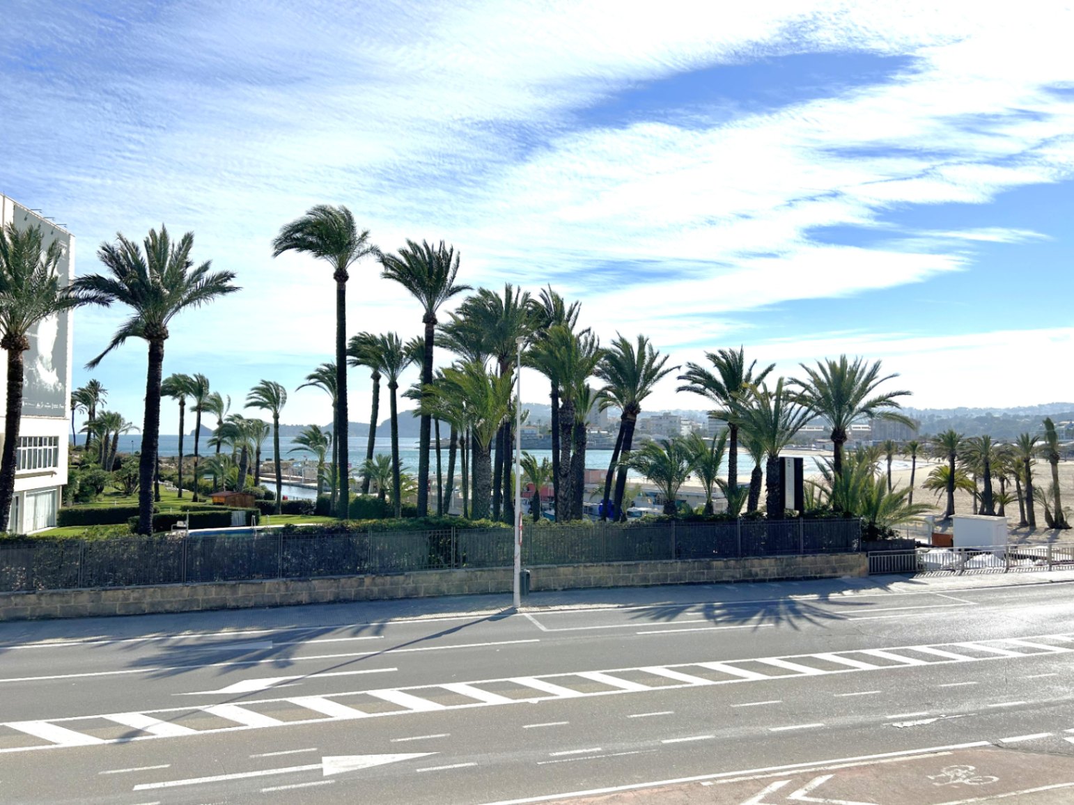 Vistas frontales al mar y al paseo marítimo desde la terraza. Se observa una hilera de palmeras, la playa al fondo y una calle pavimentada en primer plano.