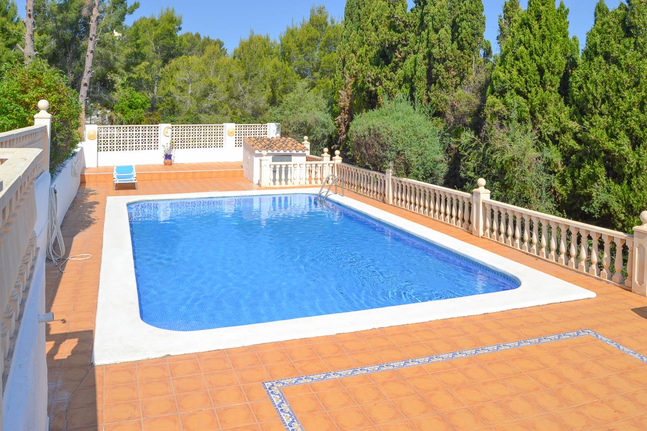 Piscina rectangular de 12x6 metros rodeada de una amplia terraza de terracota con cenefas decorativas y balaustradas de piedra, protegida por vegetación mediterránea.
